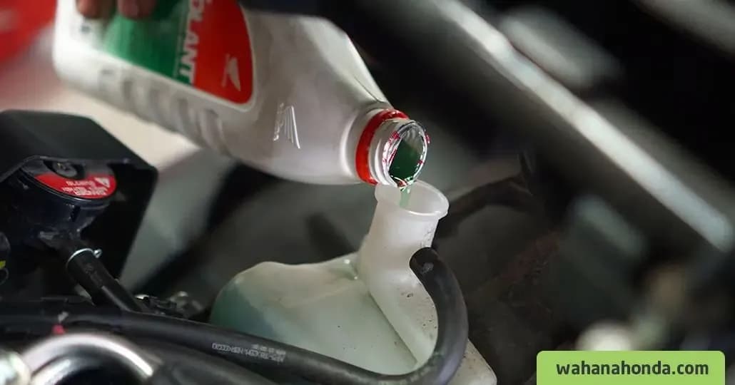 Jangan Asal, Ini Waktu Terbaik Ganti Coolant Radiator Motor