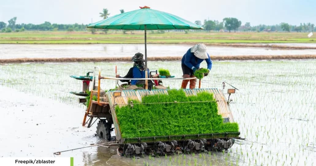 Rice Transplanter. (Freepik/zblaster)