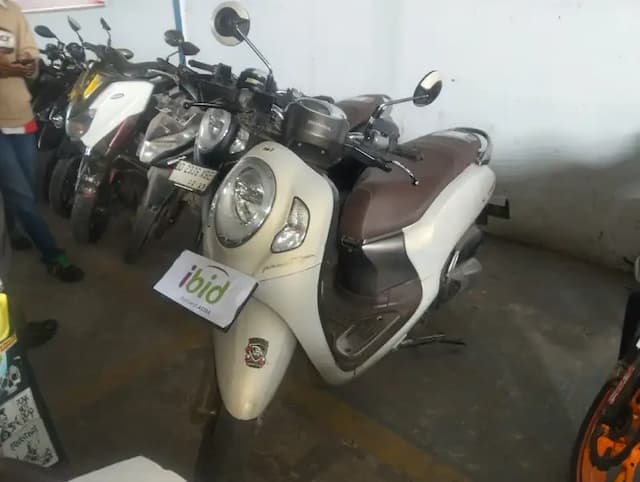 dd5532bh-scoopy-2023-72431219702