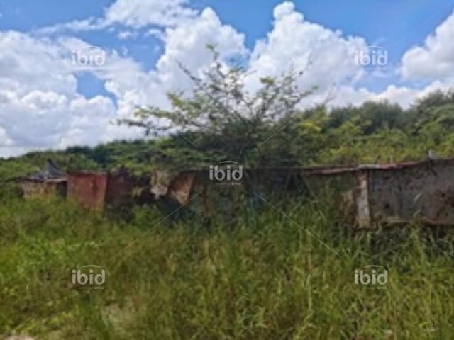 scr11502n00183-2225125910216